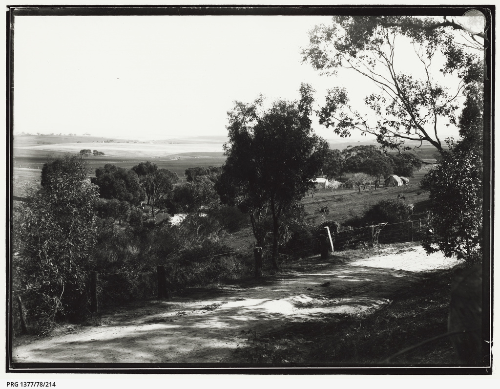 Prints from glass plate negatives of South Australian scenes