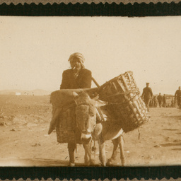 Views of Gallipoli, Lemnos and Egypt