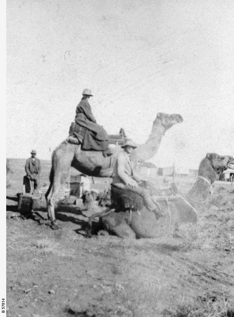 Camel riders at 'Erldunda Station' • Photograph • State Library of ...