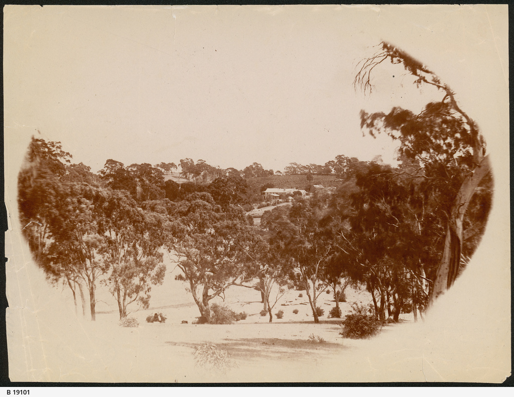 Springfield Telstra Springfield • Photograph • State Library of South Australia