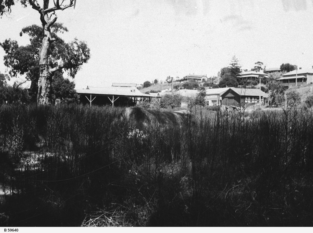 Homes along the edge of the Murray River at Mannum