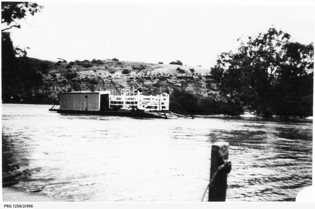 The ferry crossing river at Walkers Flat • Photograph • State Library